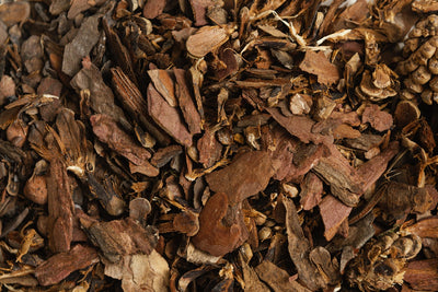 Agarwood